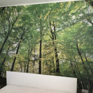 fototapeta stromy v lese, tapetář praha dušan pecháček - ukázka prací červen 2016