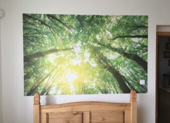 fototapeta pohled do korun stromů v lese, tapetář praha dušan pecháček - ukázka prací červen 2016
