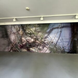 tapetování Praha - tapeta les