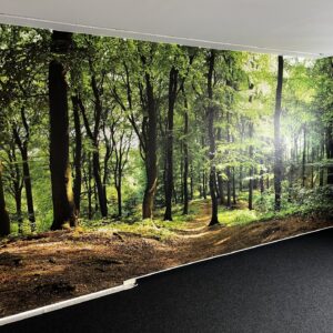 tapetování Praha - tapeta přírody a lesa