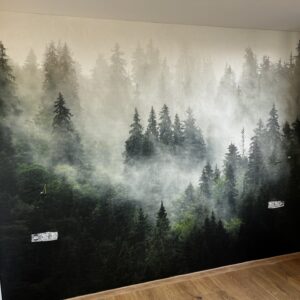 tapetování Praha - tapeta lesa v mlze