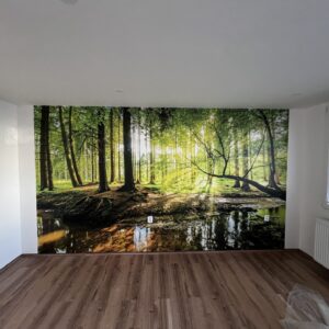 tapetování Praha - tapeta přírody a lesa