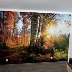 tapetování Praha - tapeta podzimního lesa