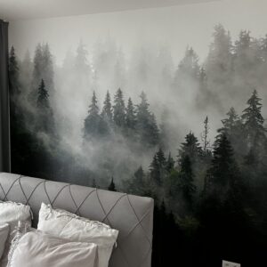 tapetování Praha - tapeta lesa v mlze